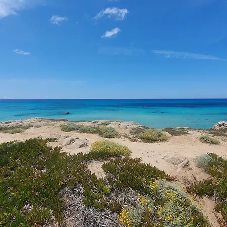 Bougainvilla - Vista Panoramica Sul Mare Lägenhet *