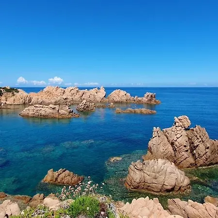 Bougainvilla - Vista Panoramica Sul Mare Lägenhet *