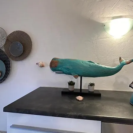 Bougainvilla * Costa Paradiso