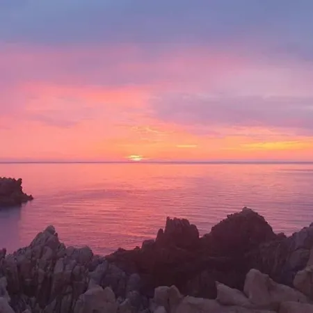 Bougainvilla コスタ・パラディーゾ