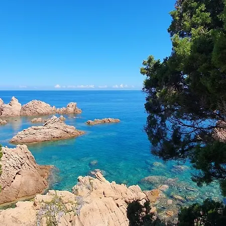 Bougainvilla * Costa Paradiso