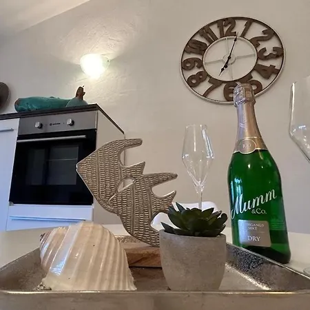 Bougainvilla * コスタ・パラディーゾ