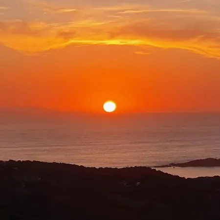 Bougainvilla アパート *